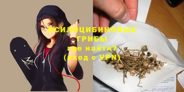 хмурый Волосово