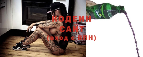 хмурый Волосово