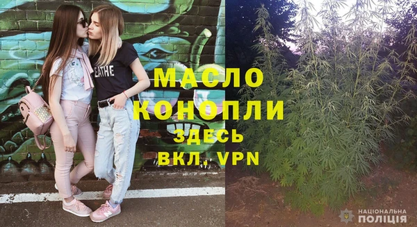молекула духа Волоколамск