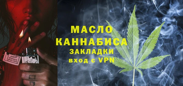 молекула духа Волоколамск