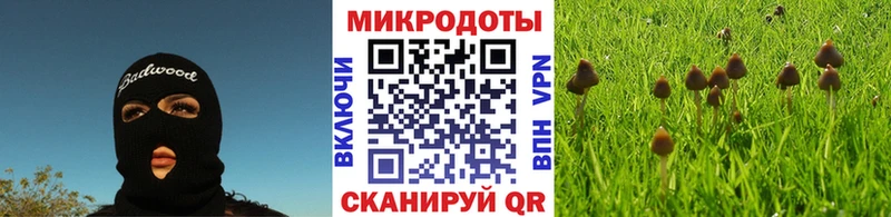 купить наркотики цена  MEGA зеркало  Галлюциногенные грибы Psilocybe  Серпухов 